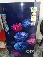 5 month old