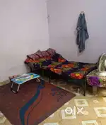 Need a girl room partner