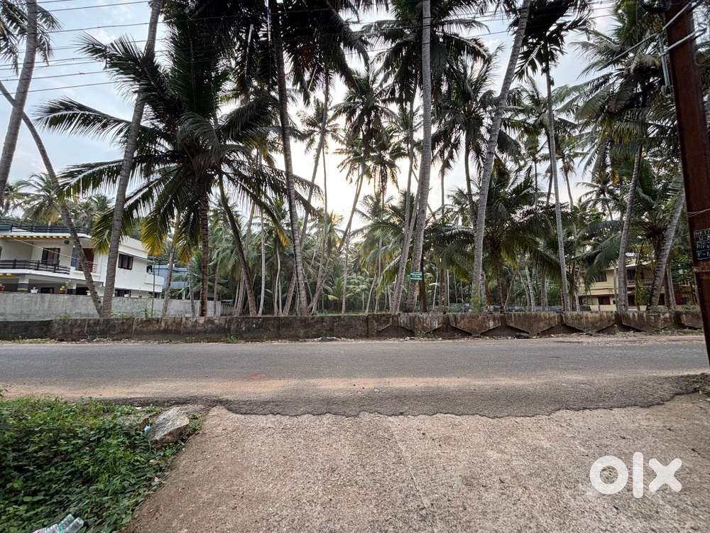 Land for sale in pananvilai  20 cent 8712 sq ft