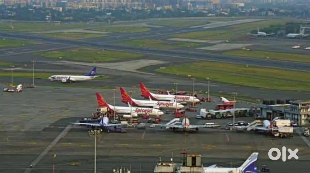 Cabin Crew/ Airport Ground Staff Jobs in Indigo limited vecancy Requi
