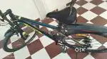 Cosmic 29 INDUS 24 SPD DISC Bicycle