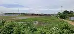 We are selling our plot of land for 22 lakhs per kotha