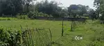 Plot for sale