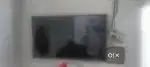 1.5years old tv