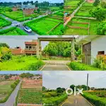 Buddheswar mohaan road kakori mod lucknow