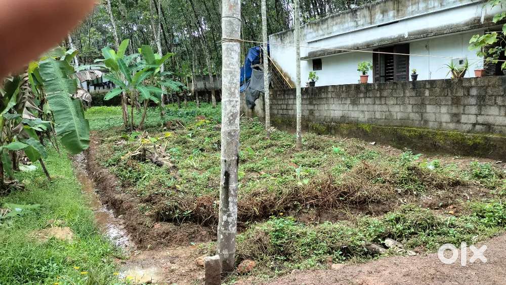 4Cent Houseing plot for sale