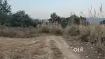 2000 gaj industrial plot for sale in sundra mubarakpur