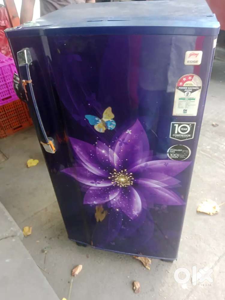 Godrej 190 Ltr tapan glass flower print