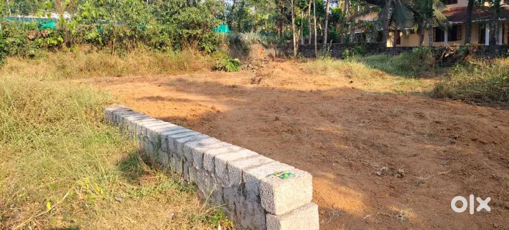 ഏറ്റുമാനൂർ  അമ്പലത്തിന്റെ പടിഞ്ഞാറെ നടയിൽ M C റോഡിൽ നിന്നും 300 mtr