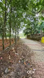 Plot for sale (Rubber Plantation) - 46 Cents