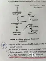 BIOLOGY CRASH COURSE FOR NEET