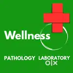 DMLT / BMLT Blood Collection Agent ( student/Experience) both