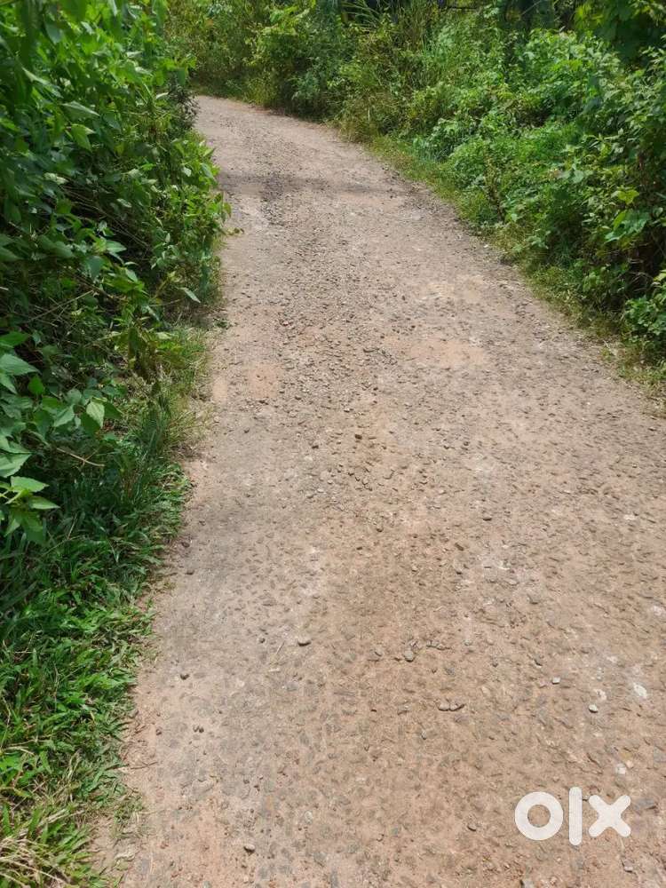 35 cent in Kallambalam