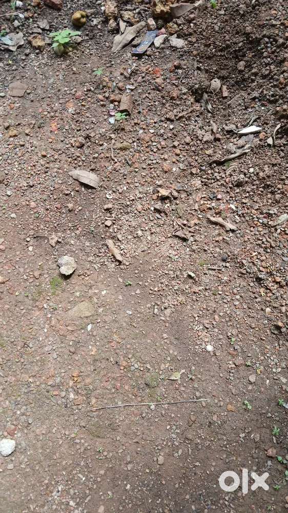20cent land for sale in mylapure