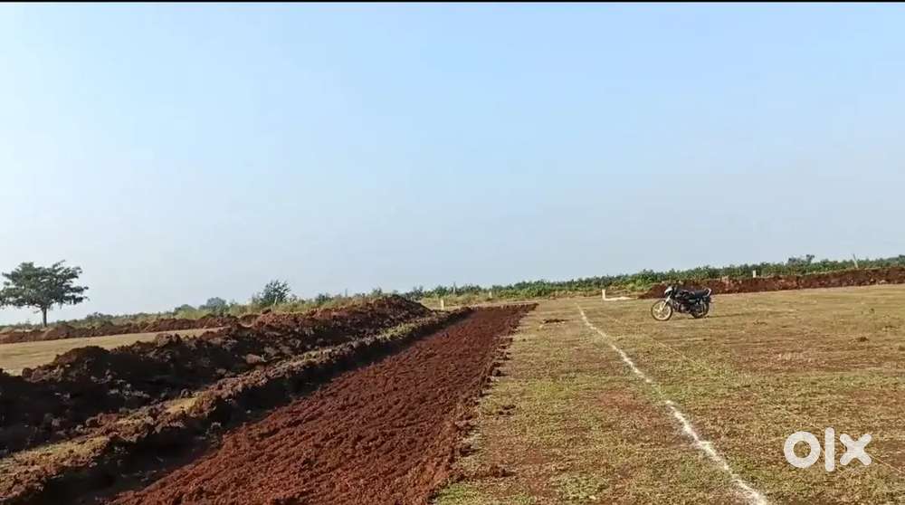 Kindergarten shadnagar premium open plot