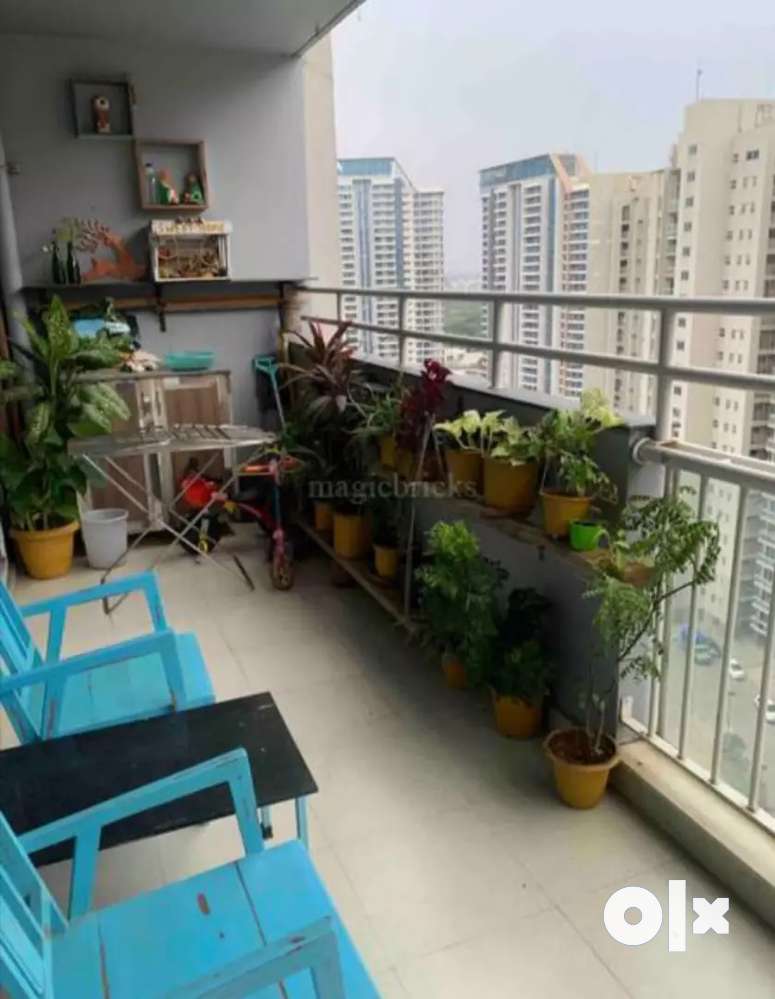 2bhk flat for rent in Amanora Gold tower