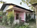 Rent house in 5500