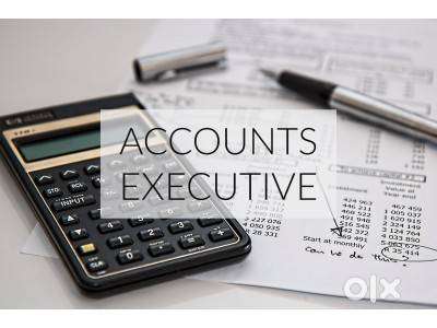 Accounts Executive