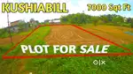Urgent Plot for Sale Kushiabill Dimapur Nagaland