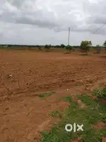All purpose land