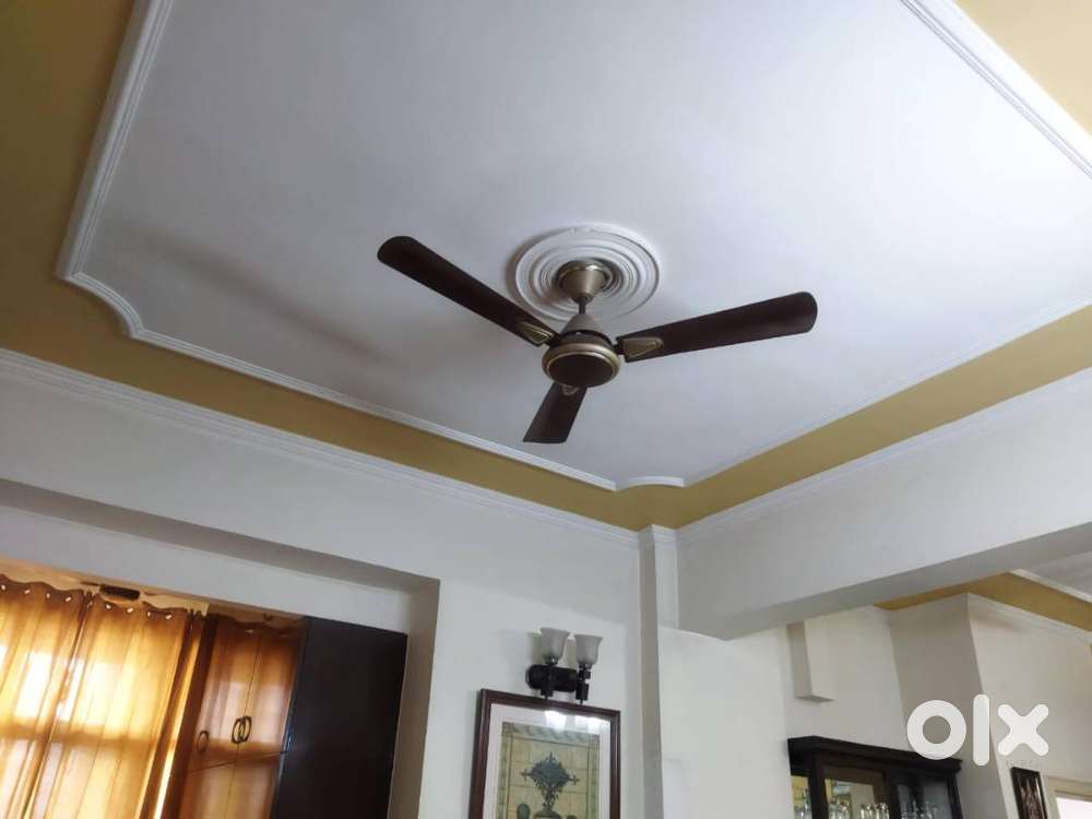 Ceiling fans: