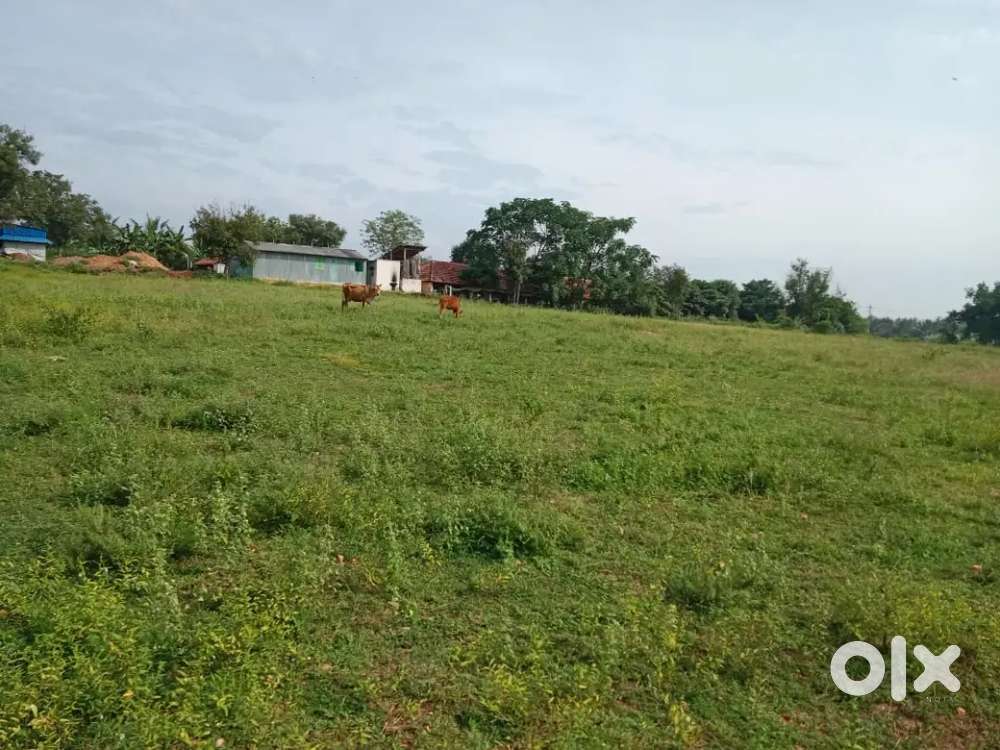 SUPER SAIL AGRI LAND FOR SALE IN ANNUR