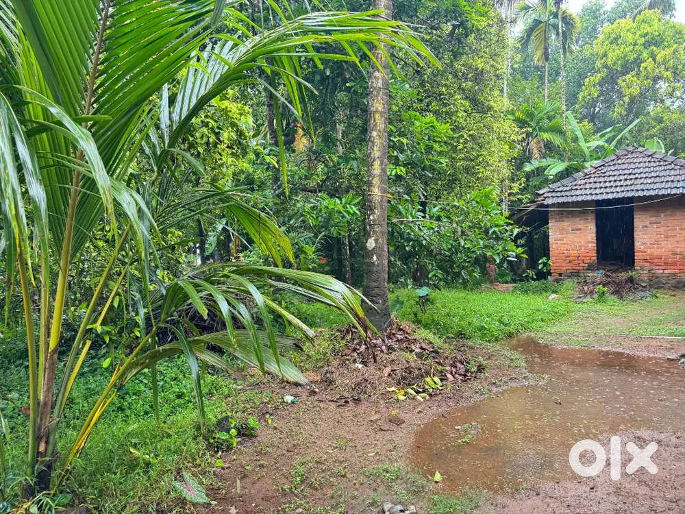 Residential plots for sale - near pudukad railway station , thrissur