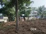 കരഭൂമി..5 cent.6 cent. square plot  road side. Per cent 2.80.000/lahks