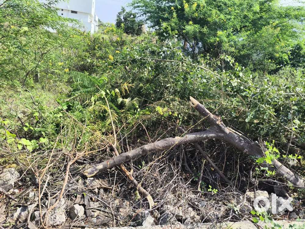 Invest in indai be a indian.