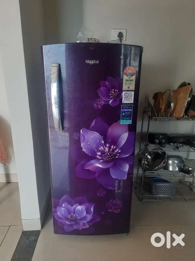 Washing machine and fridge