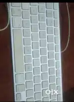 Apple keyboard and mouse
