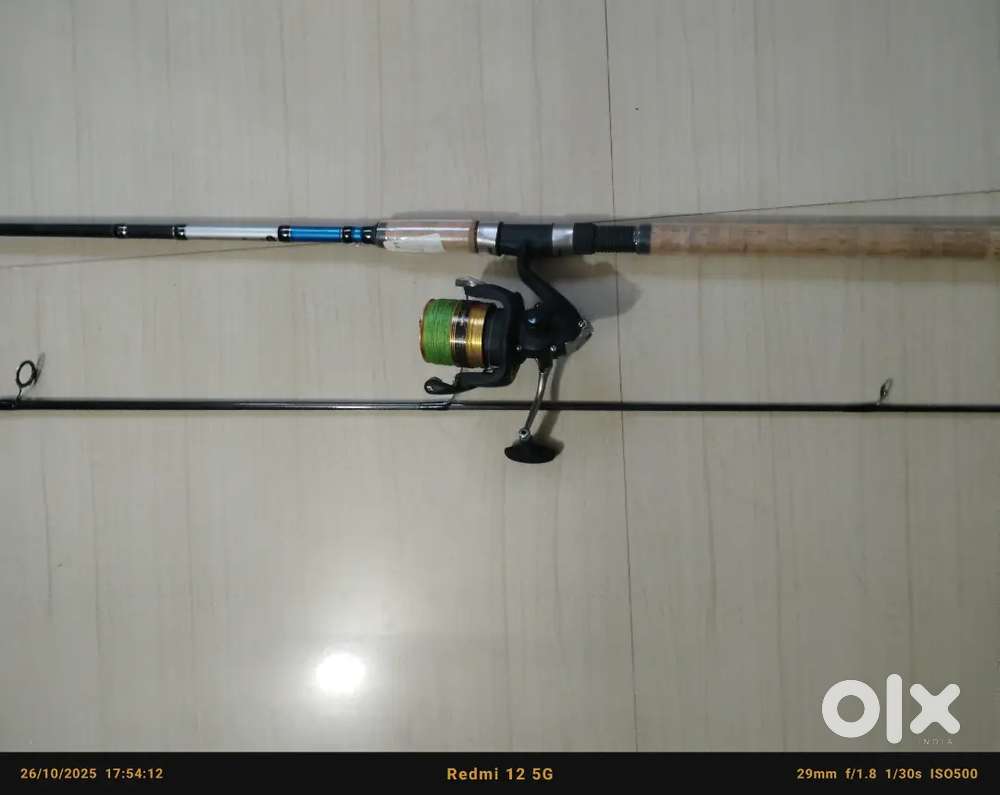 Fishing rod
