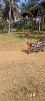 Agriculture land