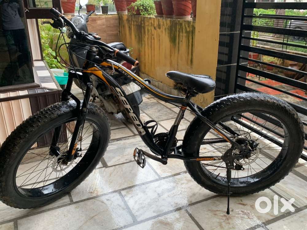 Fat cycle for sale