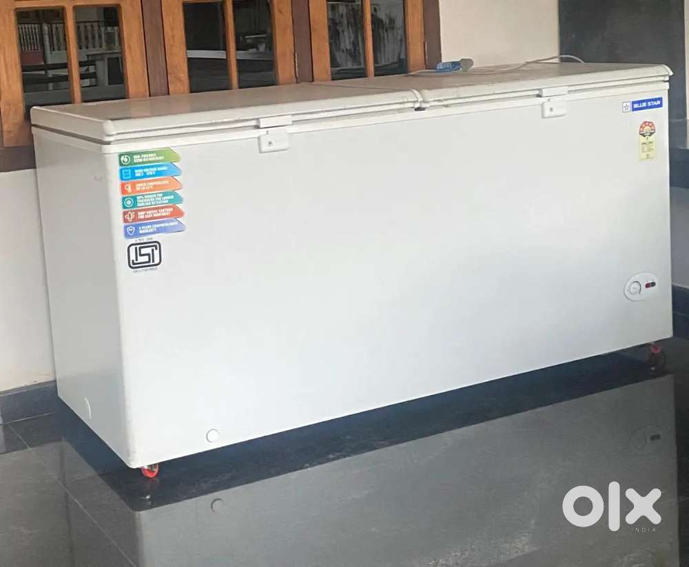 Blue star freezer 500ltr