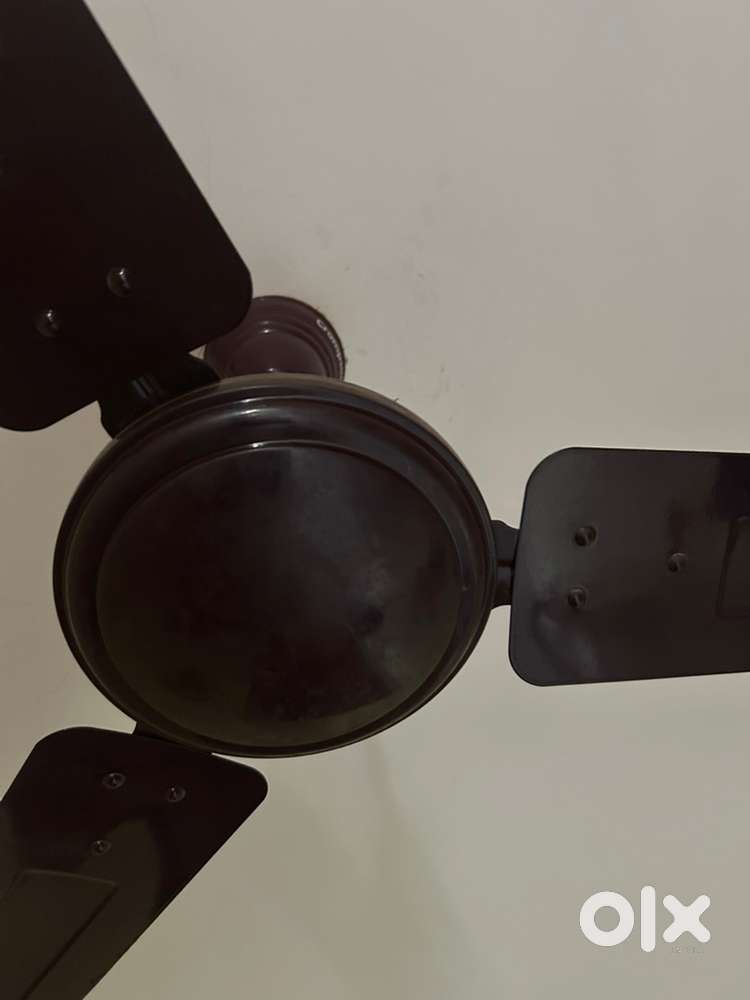 Crompton Ceiling Fan