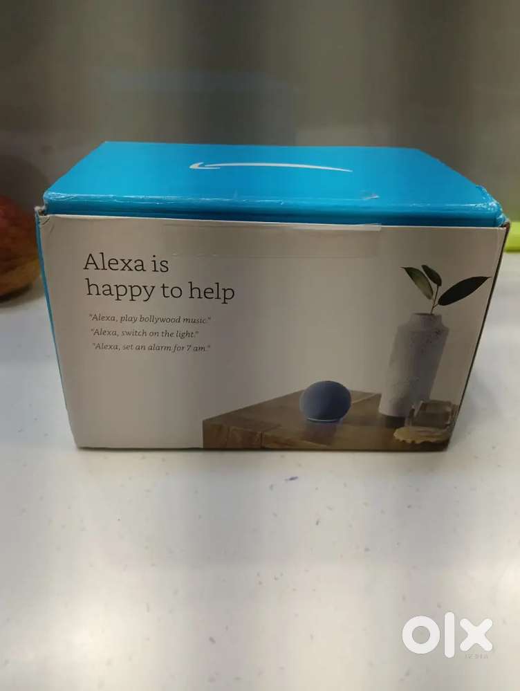 This is a brand new alexa