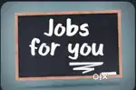 looking for handsome paid job while sitting at home