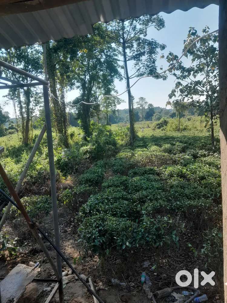 Cleaner/ Saaf safai. Not too works.Only lady or girls