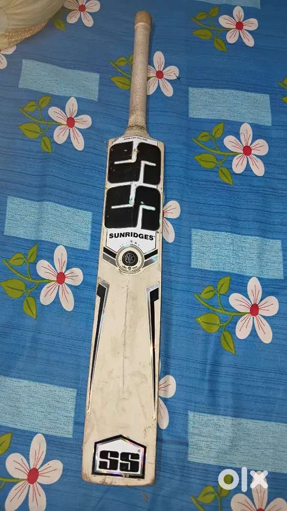 SS Kashmir Willow Bat