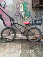 Cycle fat tyre double disc brake