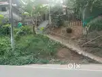 30 cent സ്ഥലം കൂട്ടാർ ടൗണിന്റെ അടുത്ത് ചെറിയ വിലയിൽ