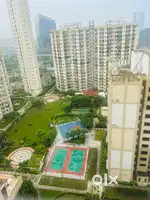 Male Flatmate for 2BHK fully furnished - Golden Palms, Sector 168
