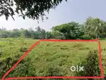 Plot for sale