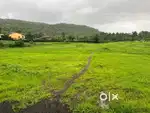 Tittle clear property