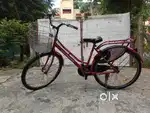 Stryder bicycle