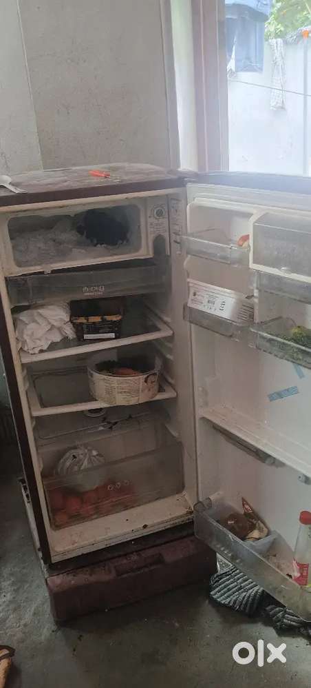 Lg fridge single door