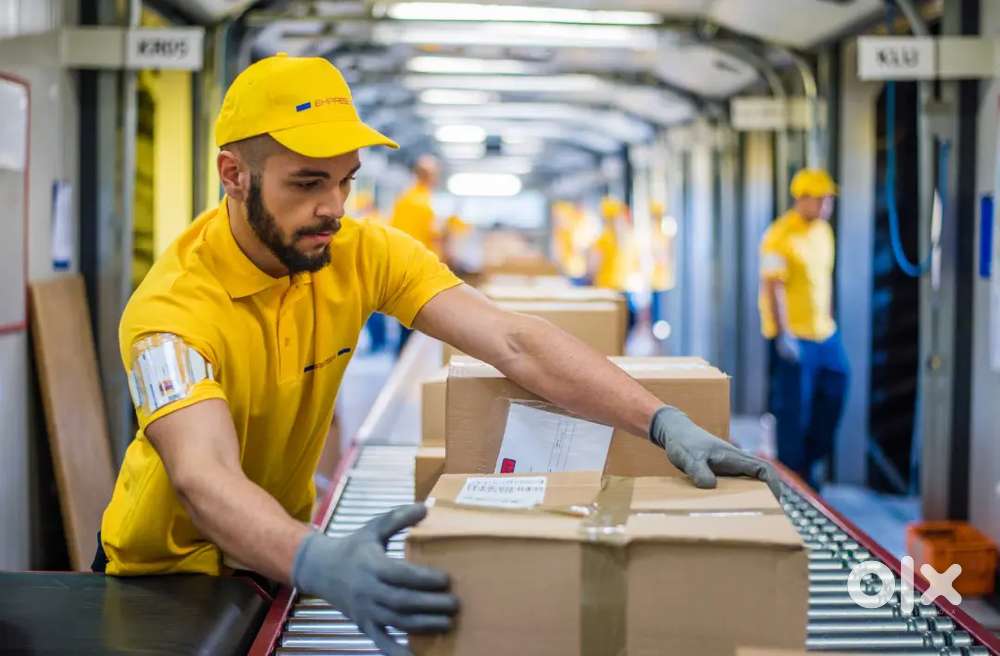 Packaging and Scanning Job