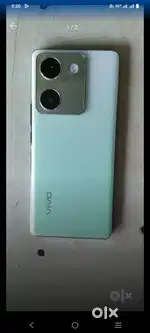 Vivo y300 plus