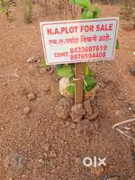 Land for Sale in Dapoli Camp, Near Ramraje College & ST Stand